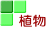 植物