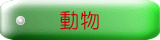 動物